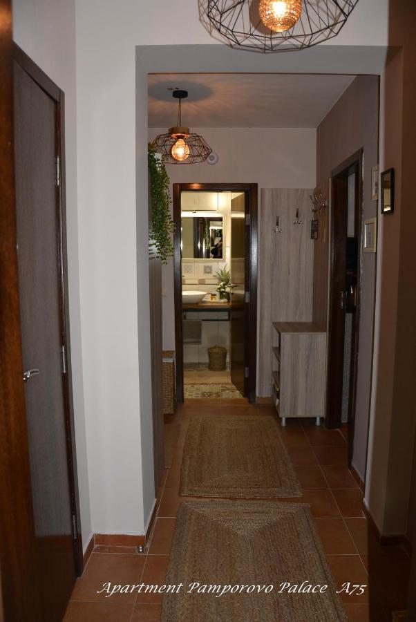Apartment Pamporovo Palaсe A75 Esterno foto